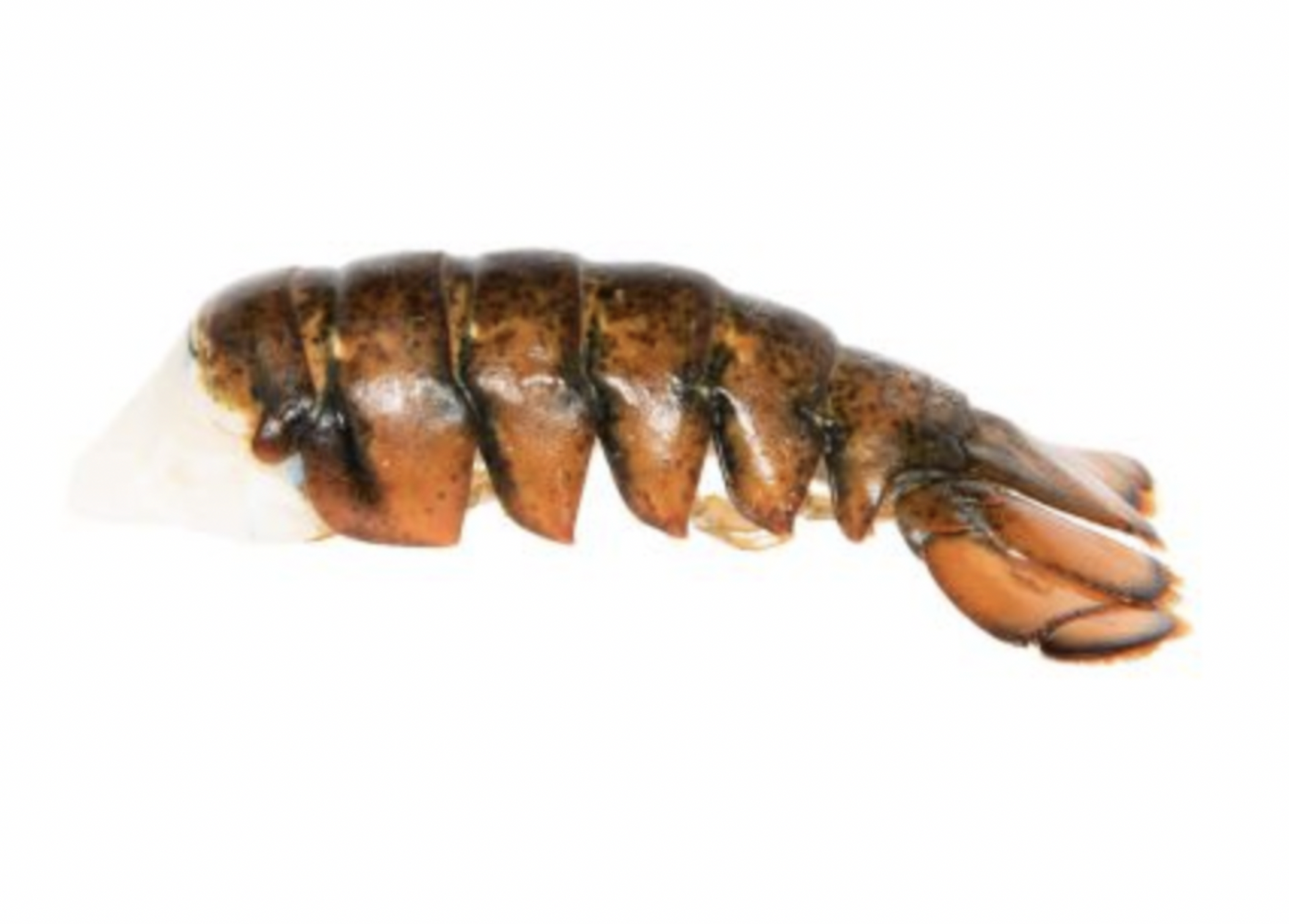 Greenhead Lobster Tail FROZEN