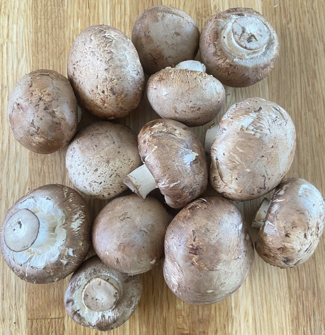 MUSHROOMS Crimini 1#