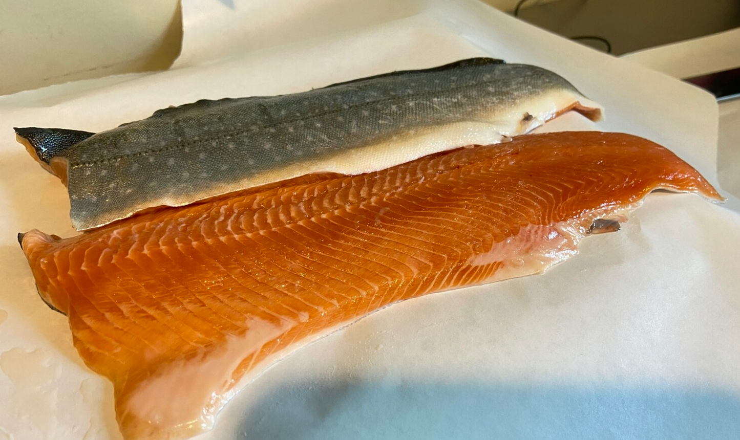 Arctic Char