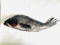 Black Bass, Wild Caught WHOLE FISH