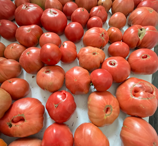 BULK Heirloom Tomato Special