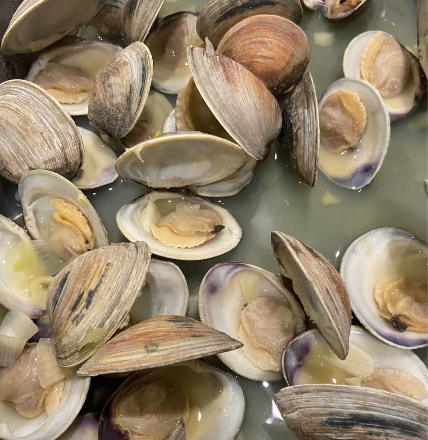 Fresh Clams- 2" Littleneck, Gulf of Maine