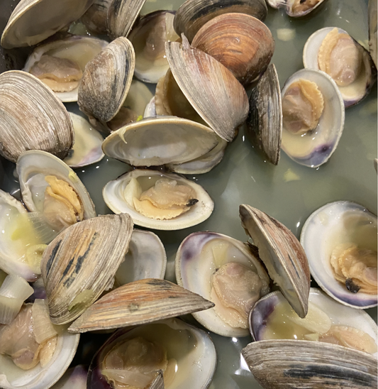 Fresh Clams- 2" Littleneck, Gulf of Maine