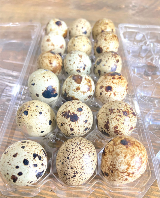 Quail Eggs