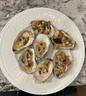 Oysters- Pemaquid, 25 count bag