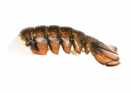 Greenhead Lobster Tail FROZEN