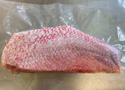 FROZEN Red Snapper Fillet