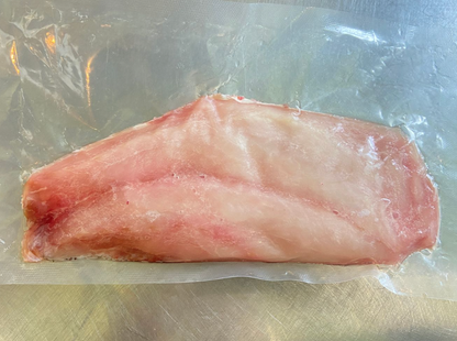 FROZEN Red Snapper Fillet