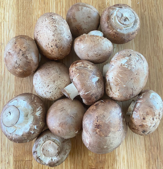 MUSHROOMS Crimini 1#
